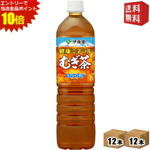 エントリーで全品ポイント10倍★【送料無料】スリムボトル【送料無料】伊藤園 健康ミネラルむぎ茶 1Lペットボトル 24本(12本×2ケース) ミネラル麦茶 ※北海道800円・東北400円の別途送料加算 [39ショップ]