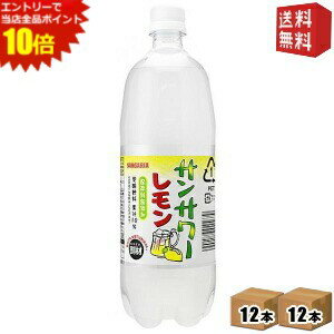 エントリーでポイント10倍★【送料無料】1Lサイズ サンガリア サンサワー レモン 1000mlペットボトル 24本 (12本×2ケース) ※北海道800円・東北400円の別途送料加算