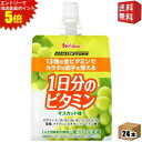 エントリーで全品ポイント5倍★【送料無料】ハウスウェルネス パーフェクトビタミン 1日分のビタミンゼリー マスカット味 180gパウチ 24個入 [栄養機能食品...