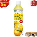 【送料無料】伊藤園 ニッポンエール 国産かんきつトリオ 400gペットボトル 48本(24本×2ケース) 和歌山県産温州みかん 愛媛県産河内晩柑 和歌山県産八朔 JA全農共同開発商品 ※北海道800円・東北400円の別途送料加算 itoen2505