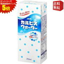 エントリーで全品ポイント5倍★【送料無料】 エルビー カルピスウォーター 250ml紙パック 96本(24本×4ケース) ※北海道800円・東北400円の別途送料加算