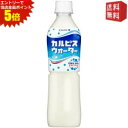 エントリーで全品ポイント5倍★【送料無料】カルピス カルピスウォーター 500mlペットボトル 48本 (24本×2ケース) ※北海道800円・東北400円の別...