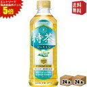 エントリーで全品ポイント5倍★【送料無料】サントリー 緑茶 伊右衛門 特茶 ジャスミン 500mlペットボトル 48本 (24本×2ケース) [特保 トクホ 特...