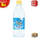 エントリーで全品ポイント5倍★【送料無料】 チェリオ 強炭酸水 500mlペットボトル 24本入 炭酸 天然水使用 炭酸水 軟水 割り材 シリカ10mg ※北海道800円・東北400円の別途送料加算