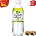 エントリーで全品ポイント5倍★自動販売機用【送料無料】キリン メッツプラス レモンスカッシュ 480mlペットボトル 48本(24本×2ケース) [機能性表示食...