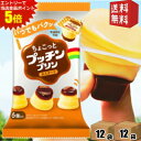 エントリーで全品ポイント5倍★【送料無料】 グリコ ちょこっとプッチンプリン カスタード 120g(20g×6個入)×24袋(12袋×2セット) プッチンプリン...