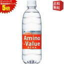 エントリーで全品ポイント5倍★【送料無料】 大塚製薬 アミノバリュー4000 500mlペットボトル 48本(24本×2ケース) (スポーツドリンク) ※北海道...