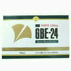 使用期限2027年以降【あす楽】【アサヒフードアンドヘルスケア】イチョウ葉エキス　GBE-24 FORTE 120mg 180錠(粒) 【健康食品】【送料無料】【定形外郵便不可】【北海道・離島・沖縄は送料無料が非適用です】