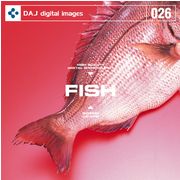DAJ 026 FISH メール便可 CD-ROM素材集 ロイヤリティ フリー cd-rom画像 cd-rom写真 写真 写真素材 素材