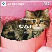 【あす楽】DAJ 032 CAT CD-ROM素材集 送料無料 ロイヤリティ フリー cd-rom画像 cd-rom写真 写真 写真素材 素材