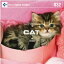 ڤڡDAJ 032 CAT CD-ROMǺླྀ ̵ ƥ ե꡼ cd-rom cd-rom̿ ̿ ̿Ǻ Ǻ