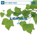SS期間中ポイント2倍【あす楽】DAJ036 LEAVES 葉百選 CD-ROM素材集 送料無料 ロイヤリティ フリー cd-rom画像 cd-rom写真 写真 写真素材 素材