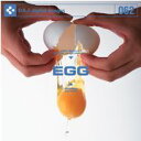 yyzDAJ 062 EGG [։ CD-ROMfޏW CeB t[ cd-rom摜 cd-romʐ^ ʐ^ ʐ^f f