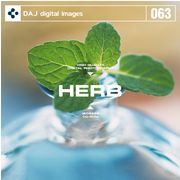 6月1日pt2倍【あす楽】DAJ063 HERB ハーブ メール便可 CD-ROM素材集 ロイヤリティ フリー cd-rom画像 cd-rom写真 写真 写真素材 素材