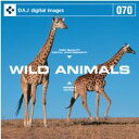 ポイント2倍【あす楽】DAJ 070 WILD ANIMAL メール便可 CD-ROM素材集 ロイヤリティ フリー cd-rom画像 cd-rom写真 写真 写真素材 素材