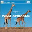 ޥ饽PT2ܡڤڡDAJ 070 WILD ANIMAL ᡼ز CD-ROMǺླྀ ƥ ե꡼ cd-rom cd-rom̿ ̿ ̿Ǻ Ǻ