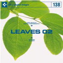 yyzDAJ 138 LEAVES 02 [։ CD-ROMfޏW CeB t[ cd-rom摜 cd-romʐ^ ʐ^ ʐ^f f