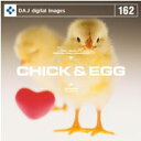 超ポイントバック祭p2倍 DAJ 162 CHICK & EGG メール便可 CD-ROM素材集 ロイヤリティ フリー cd-rom画像 cd-rom写真 写真 写真素材 素材