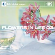 SSポイント3倍【あす楽】DAJ 189 FLOWERS IN LIFE 03 メール便可 CD-ROM素材集 ロイヤリティ フリー cd-rom画像 cd-rom写真 写真 写真素材 素材