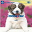 ڤڡDAJ 198 DOG 02 ᡼ز CD-ROMǺླྀ ƥ ե꡼ cd-rom cd-rom̿ ̿ ̿Ǻ Ǻ