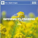 ポイント2倍【あす楽】DAJ 223 SPRING FLOWERS メール便可 CD-ROM素材集 ロイヤリティ フリー cd-rom画像 cd-rom写真 写真 写真素材 素材