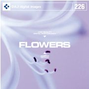 61pt2ܡڤڡDAJ 226 FLOWERS ᡼ز CD-ROMǺླྀ ƥ ե꡼ cd-rom cd-rom̿ ̿ ̿Ǻ Ǻ