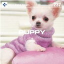 マラソンp20倍超 DAJ 237 PUPPY メール便可 CD-ROM素材集 ロイヤリティ フリー cd-rom画像 cd-rom写真 写真 写真素材 素材