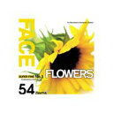 yyzSUPER FINE No.1 FLOWERS CD-ROMfޏW  CeB t[ cd-rom摜 cd-romʐ^ ʐ^ ʐ^f f