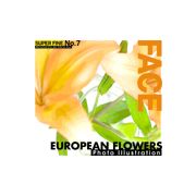 マラソン中pt2倍【あす楽】SUPER FINE No.7 EUROPEAN FLOWERS CD-ROM素材集 送料無料 ロイヤリティ フリー cd-rom画像 cd-rom写真 写真 写真素材 素材