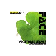 ޥ饽pt2ܡڤڡSUPER FINE No.11 VEGETABLE LEAVES CD-ROMǺླྀ ̵ ƥ ե꡼ cd-rom cd-rom̿ ̿ ̿Ǻ Ǻ