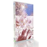 マラソンp20倍超 GRAN IMAGE A511 サンシャインサクラ CD-ROM素材集 送料無料 ロイヤリティ フリー cd-rom画像 cd-rom写真 写真 写真素材 素材