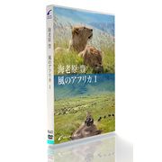 マラソン中pt2倍【あす楽】GRAN IMAGE K651 海老原豊・風のアフリカ 1 CD-ROM素材集 送料無料 ロイヤリティ フリー cd-rom画像 cd-rom写真 写真 写真素材 素材