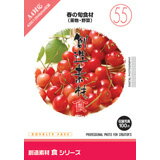 楽天色見本のG＆E6月1日pt2倍【あす楽】創造素材 食シリーズ［55］春の旬食材（果物・野菜） CD-ROM素材集 送料無料 ロイヤリティ フリー cd-rom画像 cd-rom写真 写真 写真素材 素材