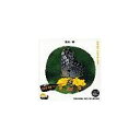 ポイント2倍【あす楽】創造素材 昆虫 蝶 CD-ROM素材集 送料無料 ロイヤリティ フリー cd-rom画像 cd-rom写真 写真 写真素材 素材