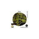 【マラソンp2倍】創造素材 樹Vol.1 CD-ROM素材集 送料無料 ロイヤリティ フリー cd-rom画像 cd-rom写真 写真 写真素材 素材