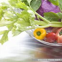 yyzMakunouchi 047 Organic Food CD-ROMfޏW  CeB t[ cd-rom摜 cd-romʐ^ ʐ^ ʐ^f f