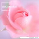 ポイント2倍【あす楽】Makunouchi 054 Bloom CD-ROM素材集 送料無料 ロイヤリティ フリー cd-rom画像 cd-rom写真 写真 写真素材 素材
