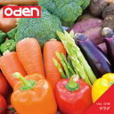 ポイント2倍【あす楽】Oden 012 サラダ CD-ROM素材集 送料無料 ロイヤリティ フリー cd-rom画像 cd-rom写真 写真 写真素材 素材