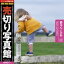 ワンダフルデーPT2倍【あす楽】売切り写真館 JFI 017 赤ちゃん こども Babies and Children CD-ROM素材集 送料無料 ロイヤリティ フリー cd-rom画像 cd-rom写真 写真 写真素材 素材