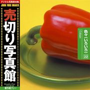 【あす楽】売切り写真館 JFI 022 色々（いろいろ） Colours CD-ROM素材集 送料無料 ロイヤリティ フリー cd-rom画像 cd-rom写真 写真 写真素材 素材