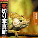 yyz؂ʐ^ JFI 027 } Animal Pictorial CD-ROMfޏW  CeB t[ cd-rom摜 cd-romʐ^ ʐ^ ʐ^f f
