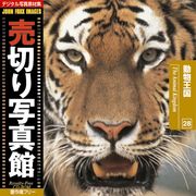 【あす楽】売切り写真館 JFI 028 動物王国 The Animal Kingdom CD-ROM素材集 送料無料 ロイヤリティ フリー cd-rom画像 cd-rom写真 写真 写真素材 素材画像