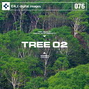 マラソンp20倍超 DAJ 076 TREE 02 メール便可 CD-ROM素材集 ロイヤリティ フリー cd-rom画像 cd-rom写真 写真 写真素材 素材