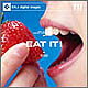 SS期間中ポイント2倍【あす楽】DAJ 217 EAT IT! メール便可 CD-ROM素材集 ロイヤリティ フリー cd-rom画像 cd-rom写真 写真 写真素材 素材