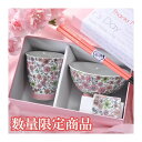 【名入れ専門】【名入れギフト 陶器】波佐見焼 カーネーションデザイン 茶碗・湯呑み・箸 箸置きセット 専用BOX入り