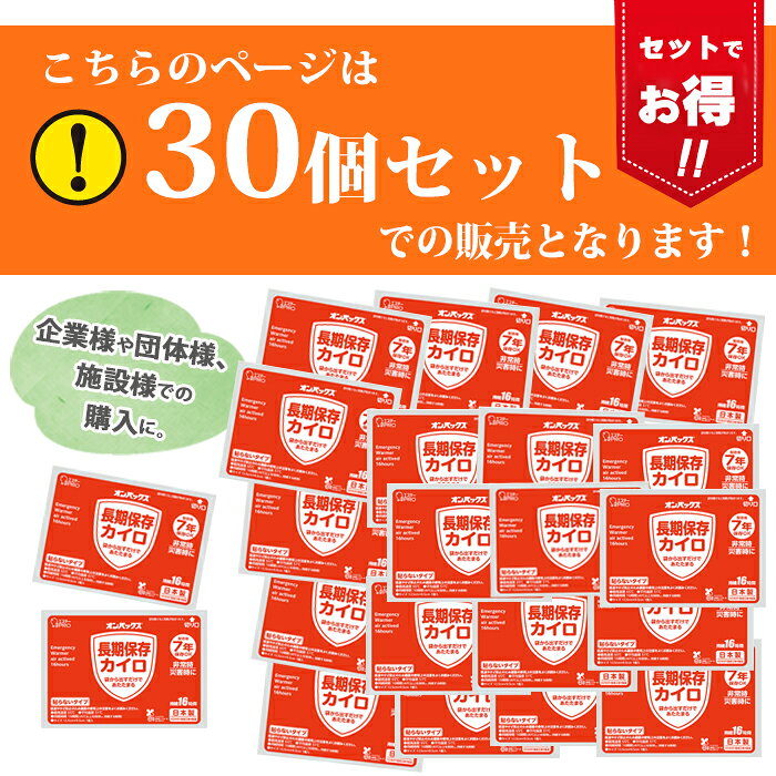 カイロ 30個 7年保存 日本製 防寒 集中豪雨 防災 常備用カイロ 中身だけ まとめ買い 単品 非常用 家族用 備蓄用 防災グッズ 災害対策 防災用品 避難グッズ 家族 避難用品 地震対策 防災セット キャンプ アウトドア 長期保存 e-bagstores-10001543 e-bag stores サンプル画像2