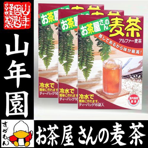 麦茶 国産 むぎ茶 10g×16袋×3箱セット 送料無料 美味しい麦茶 安心安全の麦茶 父の...