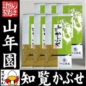 日本茶 お茶 煎茶 茶葉 知覧かぶせ 100g×6袋セット 送料無料 緑茶 知覧茶 ギフト 母の日 父の日 プチギフト お茶 2020 内祝い プレゼント 男性 女性 父 母 贈り物 香典返し 引越し 挨拶品 お祝い 人気 おすすめ 贈物 お土産 おみやげ 誕生日 祖母 お礼 早割