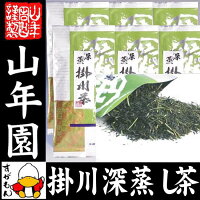 お茶 日本茶 煎茶 ネット用掛川茶
