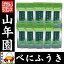 【国産(掛川産)】べにふうき 粉末 国産 40g×10袋セット 送料無料 べにふうき茶 べにふうき緑茶 紅富貴 紅ふうき 飲みやすいべにふうき 鼻炎 カテキン緑茶 カテキン茶 掛川産 深蒸し茶 粉末緑茶 粉末茶 お茶 粉末 お土産 ギフト プレゼント 内祝い